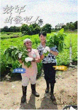 推理之夜 综艺免费看